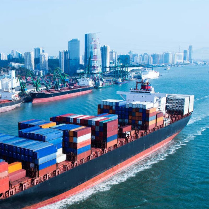Billigste DDP-internationale Schifffahrt für Kleinbetrieb-spanische Schiene Marine Import Clearance