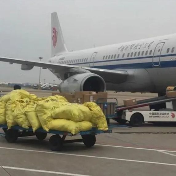 Flugschiffe von Shanghai nach Australien, Tür-zu-Tür-FCL-Schifffahrtsagentur, verbessert den Ddp-Service