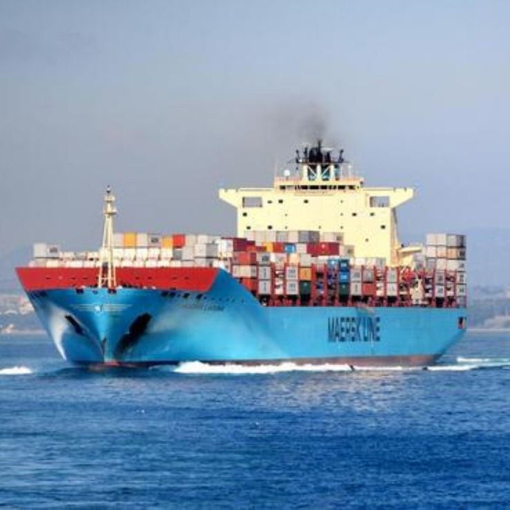 Projektimport-Speditionsdienst-Broker DDP-Seeschifffahrt von Shanghai China nach Frankreich Amazon