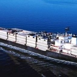 Verschiffen-FBA DDP Amazonas von China zum Verschiffen-Vertreter Britain Australia Britain Europa Vereinigte Staaten Vereinigter Staaten
