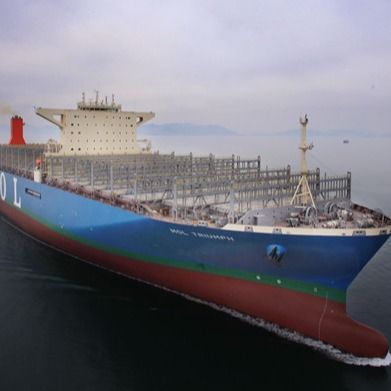 Seefrachtlogistik-Spediteur International Chinas sehr günstiger LCL-FCL-Containerversand