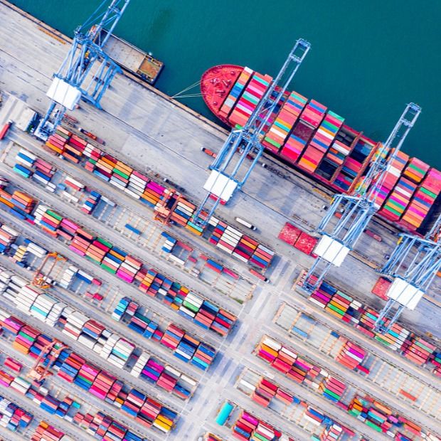 Dhl Fedex Fob FCL Seefracht-Frachtverschiffer von China in die Vereinigten Staaten, Britai-Franc, Deutschland