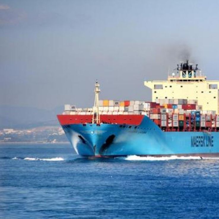 Logistik-Services Shanghai China-elektronischen Geschäftsverkehrs Australien Japan zu den internationalen Haus-Hauszustelldiensten FBAs