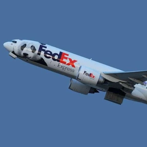 Übersee-Tür-zu-Tür-Internationaler Versand UPS Luftfracht FedEx von Shanghai China nach Israel