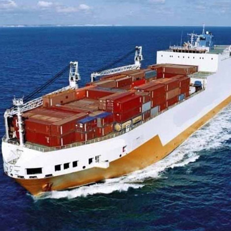 globales Verschiffen-Mitte UHRKETTE LCL des Tropfen-3c Meer China nach Jordanien 3 Tag-Exw-Spediteur