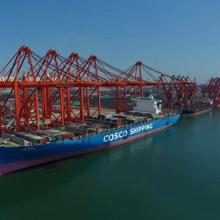 globales Verschiffen-Mitte UHRKETTE LCL des Tropfen-3c Meer China nach Jordanien 3 Tag-Exw-Spediteur