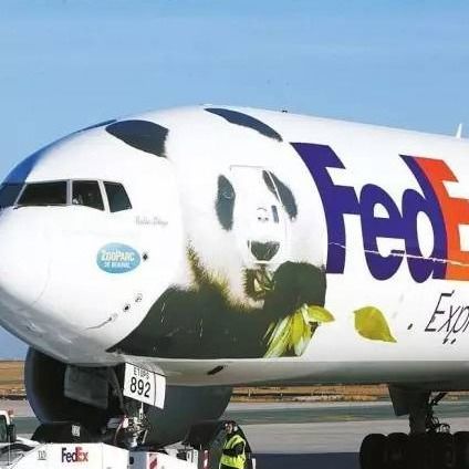 Kurierdienst nach Frankreich Ups Haus-Hausinternationale schifffahrt DHLS Fedex