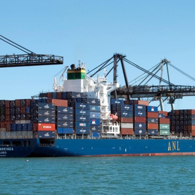 befördern billiges Meer 20gp Lcl und Fcl, die von China zu UHRKETTE EXW DDP USA-EU Australien versenden